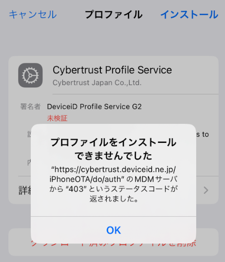 その他6個のプロファイルをインストールできませんでした 安い